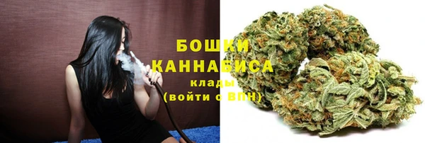 PSILOCYBIN Алексеевка