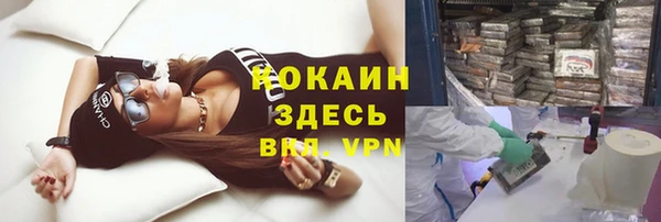 PSILOCYBIN Алексеевка